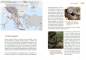 Preview: Die Leopardnatter Zamensis situla